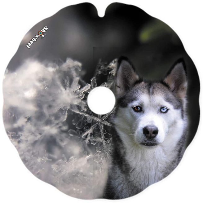 Husky - Image 2