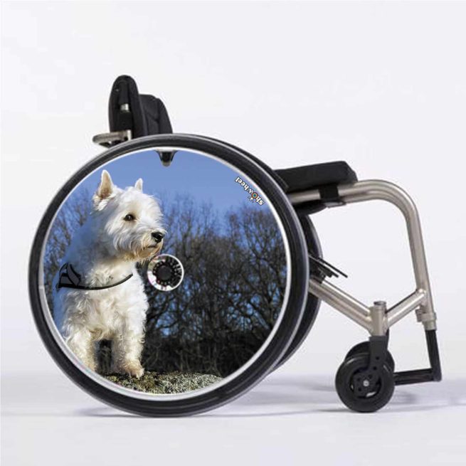 Westie