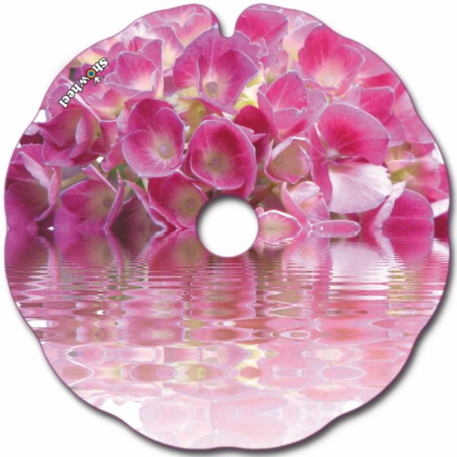 Hydrangea reflections - Image 2