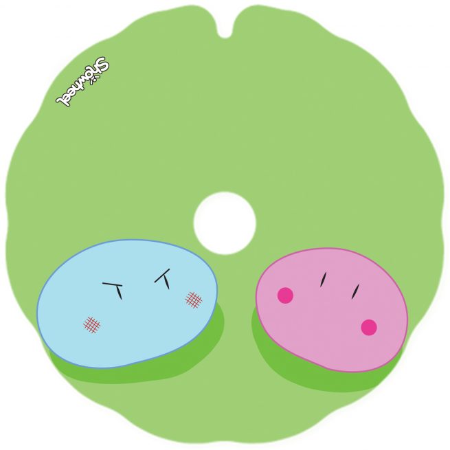 Dango - Image 2