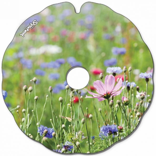 Field of flowers - Image 2
