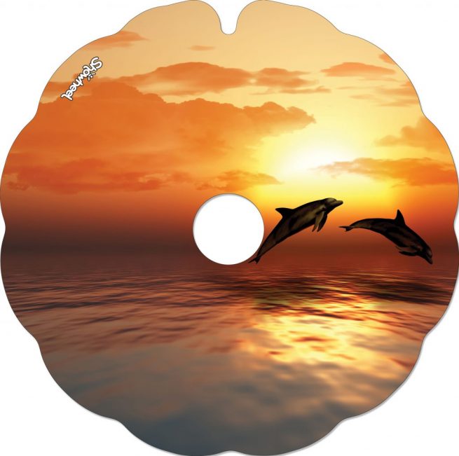 Sunshine dolphin - Image 2